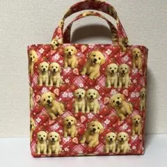 ユキエモン TOYナイトボックス キャリーオンバック 横35×縦30×マチ13