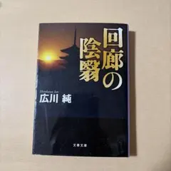 ミステリー小説『回廊の陰翳（かげ）』