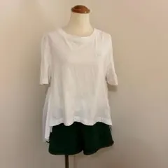 Item thumbnail for item 93855d45-2a13-4eef-983d-9208bdf22634