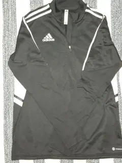 Item thumbnail for item 65f74202-6e3e-4947-a5c2-7df2ef756662