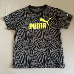PUMA 半袖Tシャツ 150cm