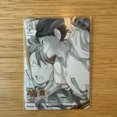 ハイキュー　バボカ　及川徹　頂P