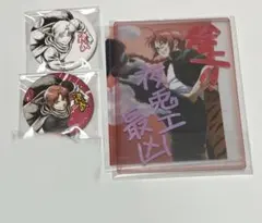 銀魂 神威 銀八先生 缶バッジ ブロマイド