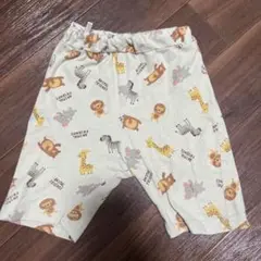 半ズボン 半パンツ ハーフパンツ 90cm アニマル 動物