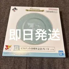 ポケモン 一番くじ B賞 ピカチュウ30周年記念プレート 新品未開封