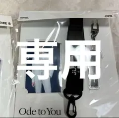 Rakutao公式アカウント01様専用SEVENTEEN Ode to You