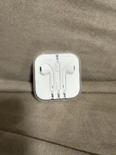 Apple 순정 이어폰