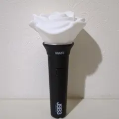 三代目JSB Official　MATE　Light stick