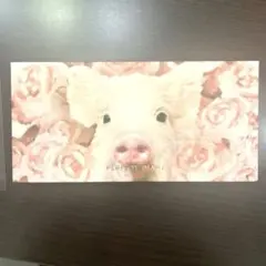 パーフェクトダイヤリー　ローズピンク