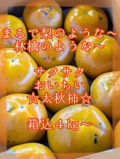 シオン様専用♡太秋柿♡10〜16玉♡箱込４kg〜♡MIX葡萄１㎏♡