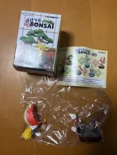 2026年最新】ぽけっとbonsai ホウオウの人気アイテム - メルカリ