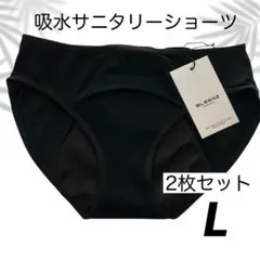 吸水サニタリーショーツ L 2枚セット 尿漏れ対策 生理用ナプキン不要 天然素材