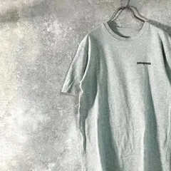 patagonia　Ｔシャツ　半袖　グレー　ロゴ　バックプリント　クルーネック
