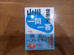 ✤未使用に近い 山川　世界史 一問一答 第３版　書き込みなし