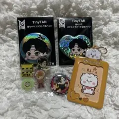 BTS ジン RJ 缶バッジ アクスタ トレカケース