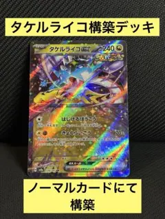 タケルライコex 構築デッキ 60枚 ノーマル統一 ポケカ