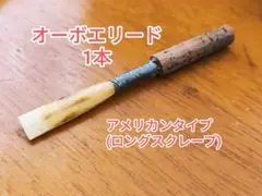 Item thumbnail for item 145426a3-b71e-4e99-a56a-1df000614070