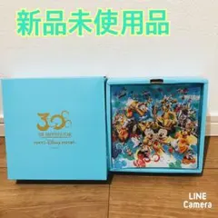 【希少品新品未使用品】東京ディズニーリゾート30周年記念絵皿時計
