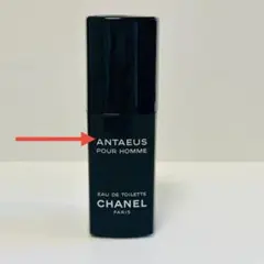 2025年最新】シャネルアンテウスオードゥトワレットの人気