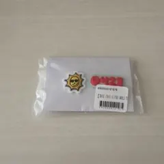 TWICE オンラインくじ　ラバーピンズ　チェヨン