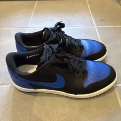 Nike エアジョーダン1 LOW ロイヤル
