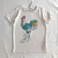 Item thumbnail for item bd9c91fa-a520-47c6-aefc-a435278efd8b