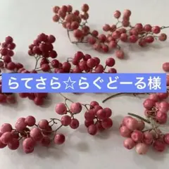 らてさら☆らぐどーる様 リクエスト 2点 まとめ商品
