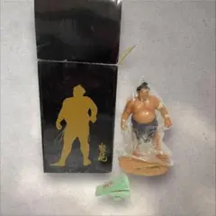 貴乃花引退記念フィギュア