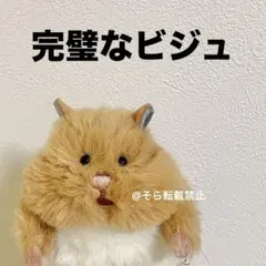 amo様専用 ハムスター シャイニー45用ロフト - メルカリ