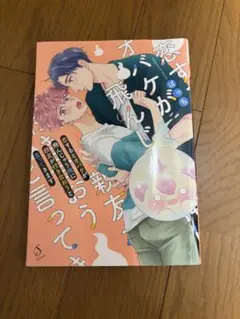 大人気！ボーイズラブ漫画5冊セット！ＢＬ