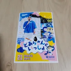 中日ドラゴンズ 竜ブロマイド11 金丸夢斗