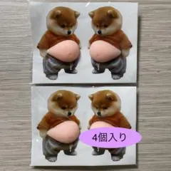 お腹プニプニシール柴犬 3Dシールステッカ2個セット（4個入り）