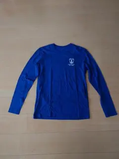 Item thumbnail for item 10518ac7-b8ab-45e3-8b09-8976e9f5f2f1