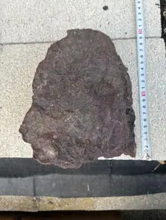 Item thumbnail for item 44227f23-4618-426e-8a38-a0db3ad0734e