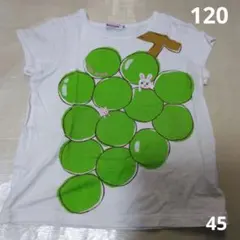 ミキハウス　マスカットTシャツ 120サイズ