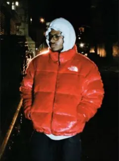 SUPREME × THE NORTH FACE nuptse