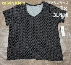 本日迄calvin Kleinロゴ総柄Tシャツサイズ1 X 新品未使用タグ付