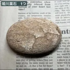 ドインク様 リクエスト 2点 まとめ商品