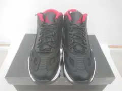 【未使用】NIKE AIR JORDAN 11 RETRO LOW 28.0cm