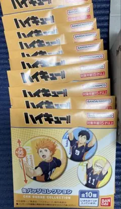 ハイキュー!! 缶バッジコレクション 全10種