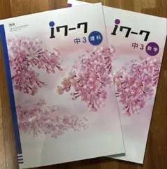 iワーク 中3 数学・理科セットのサムネイル