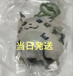 はじまりのピカチュウ