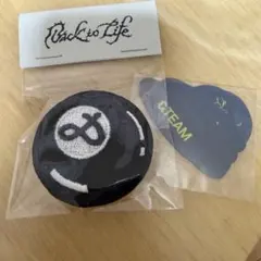 &TEAM ファンミ ワッペン マキ　フレークシール