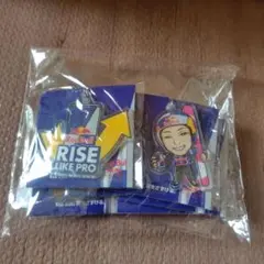 レッドブル キャラクターキーホルダー 6個セット