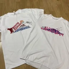 Item thumbnail for item a7463757-8ebd-40b9-ab63-1401e5a4e181