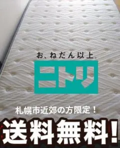 札幌市近郊の方限定！送料無料！Nスリープ ハード H1-02 CR セミダブル