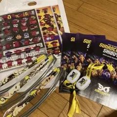 SUNROCKERS 観戦ガイド & ストラップセット