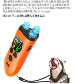 Item thumbnail for item 9c4bf9de-9c74-4c47-8898-d142f92930be