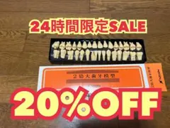 2026年最新】顎模型 ニッシンの人気アイテム - メルカリ