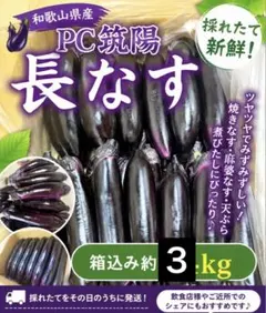 訳あり なす 箱込み約7キロ - メルカリ